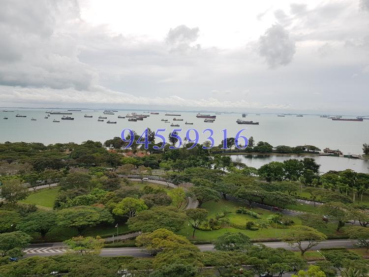 Lagoon View (D15), Apartment #160734832